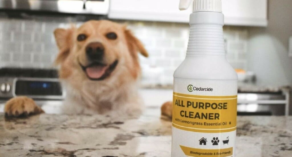 A bottle of Cedarcide All Purpose Cleaner sitting on a kitchen counter with a dog in the background