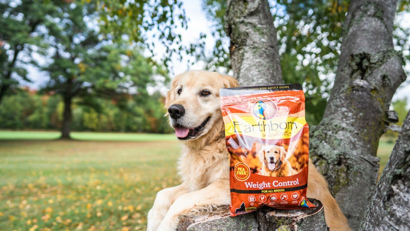 A dog puts his paws on a tree stump by a bag of Earthborn Holistic