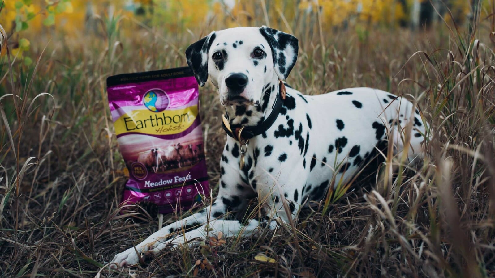 A dog lays next to a bag of Earthborn Holistic Meadow Feast