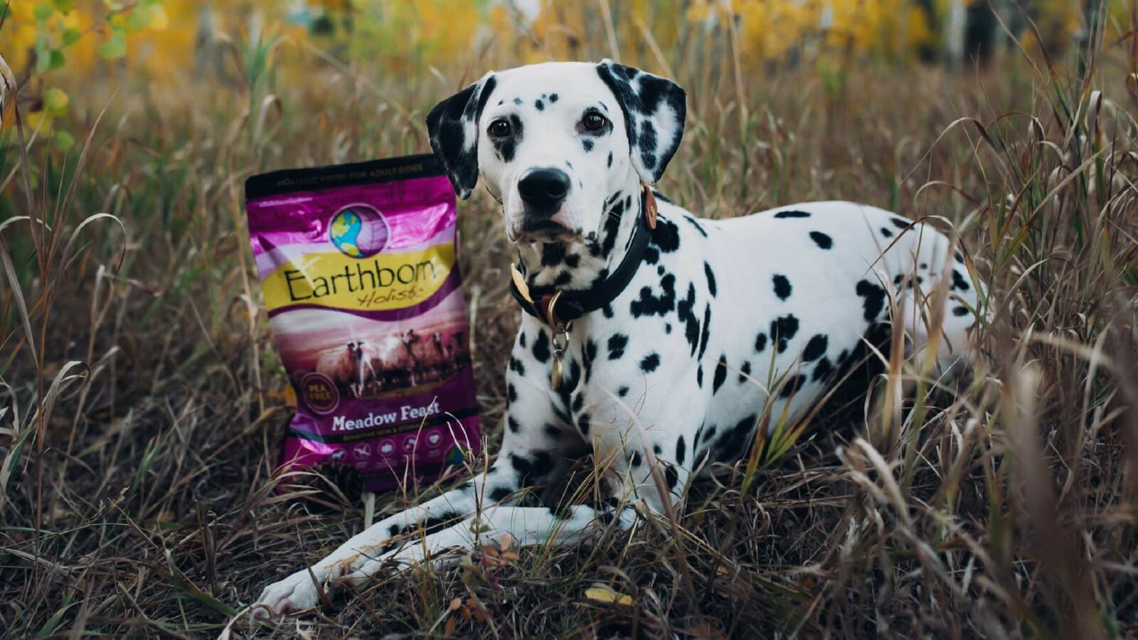 Earthborn Holistic Puppy Food A Guide to Nourishing Your Pup Earthborn Holistic Puppy Food A Guide to Nourishing Your Pup