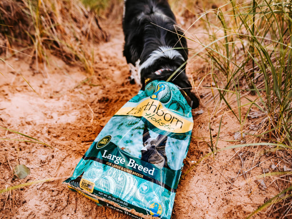 A large breed puppy sticks her head in the top of a bag of Earthborn Holistic Large Breed puppy food