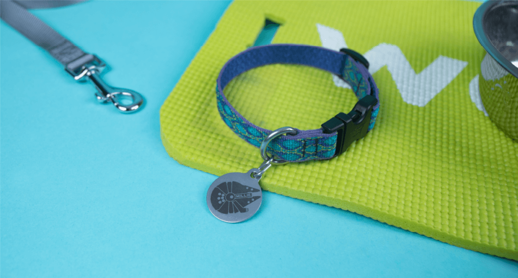 A closeup of a custom dog collar tag