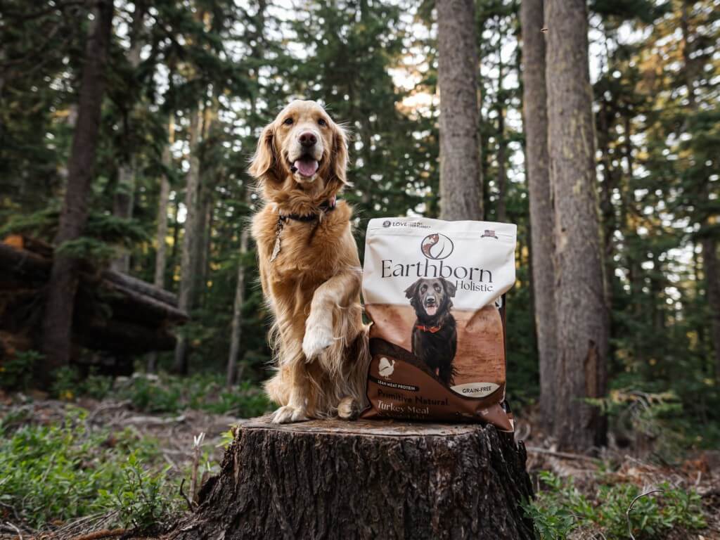 Dog sits on stump next to a bag of Earthborn Holistic Primitive Natural