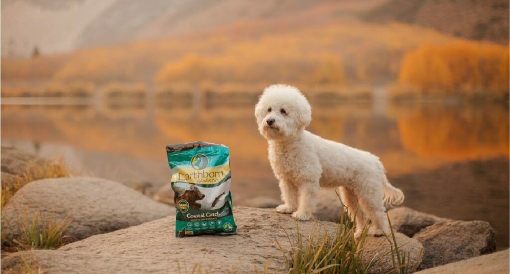 A poodle standing at an overlook point next to a bag of Earthborn Holistic Coastal Catch
