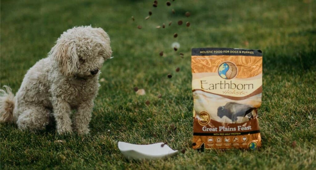 A dog watches kibble falling into a bowl next to a bag of Great Plains Feast