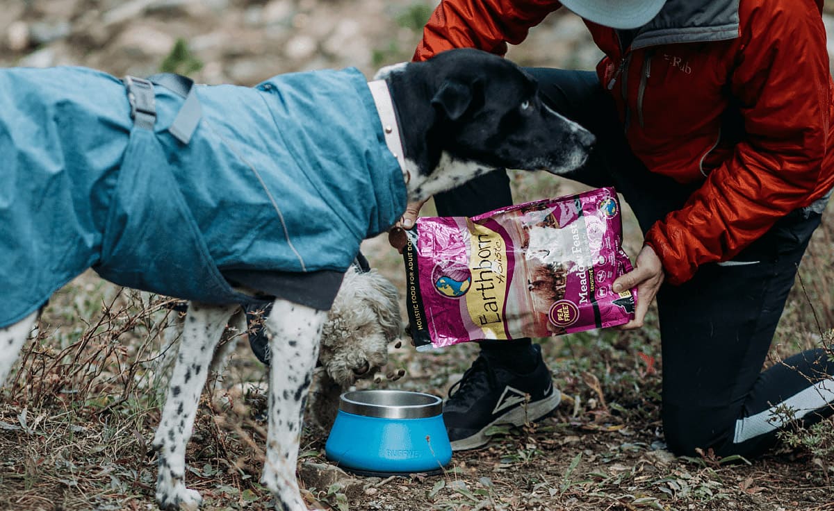 A dog sniffs a dog food bag as a man pours kibble into a bowl