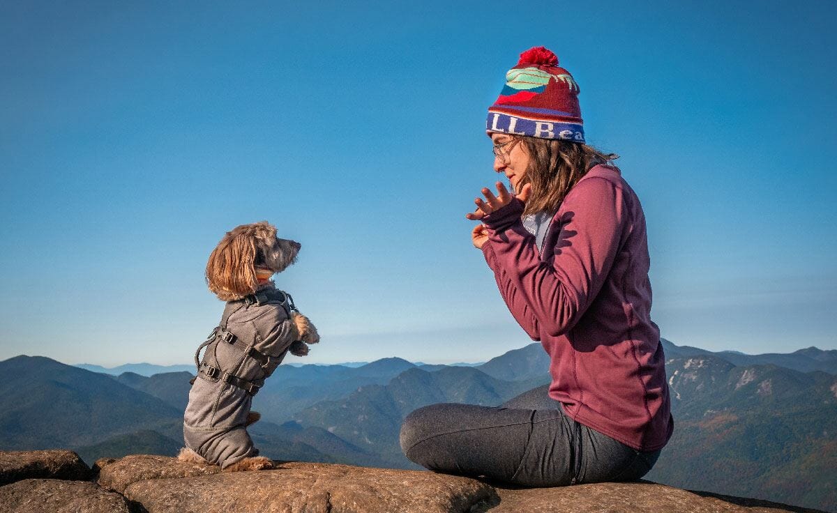A small dachshund stands on a mountain summit overlooking a view with his owner