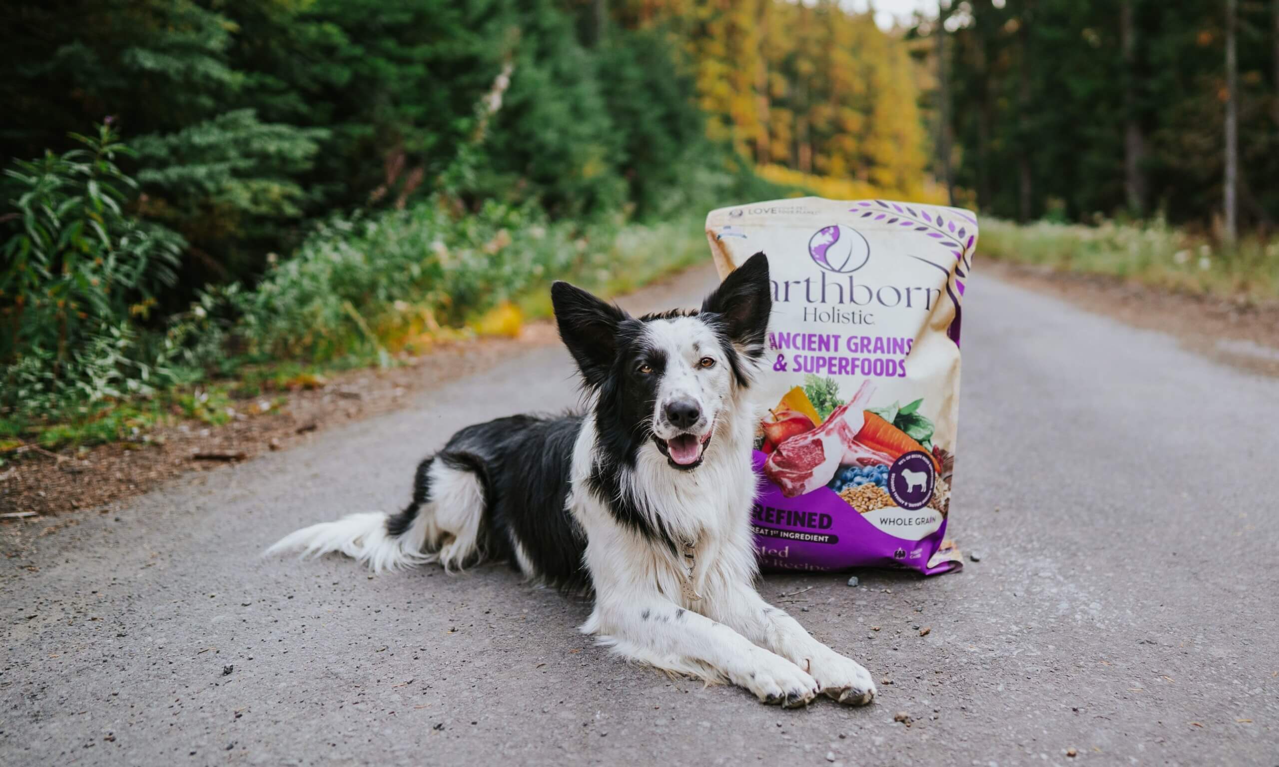 Unrefined Dog Food Flash Sales | centralcountiesservices.org