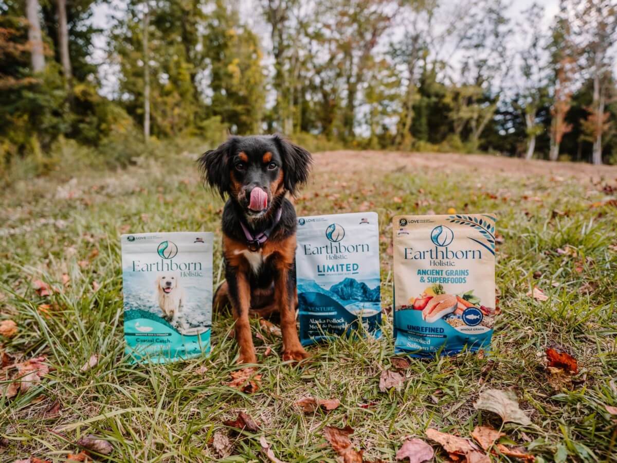 Unrefined Smoked Salmon Earthborn Holistic Pet Food