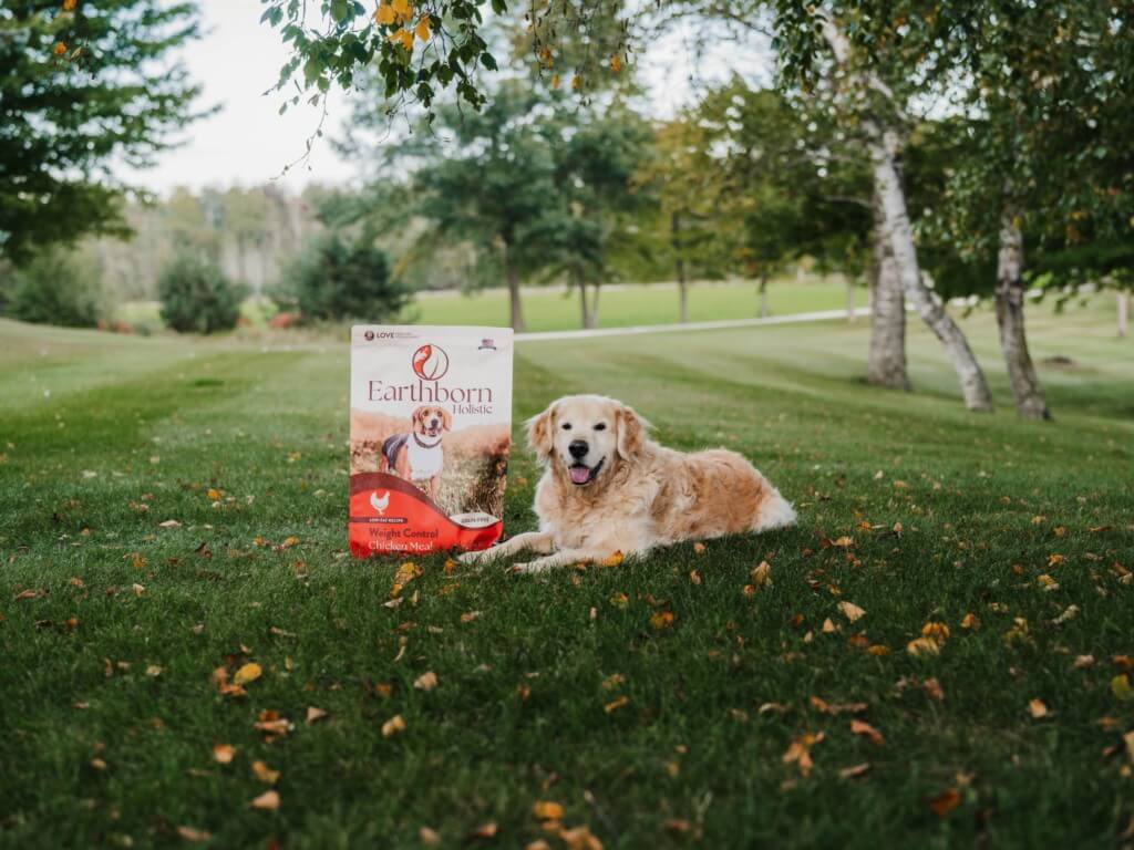 Dog lays in grass next to a bag of Earthborn Holistic Weight Control