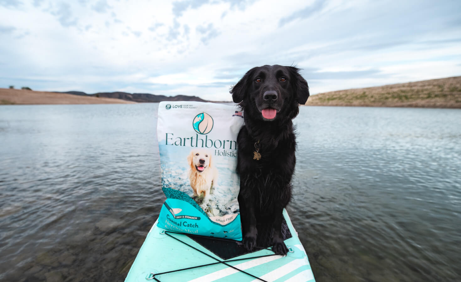 dog sits on paddle board with bag of dog food