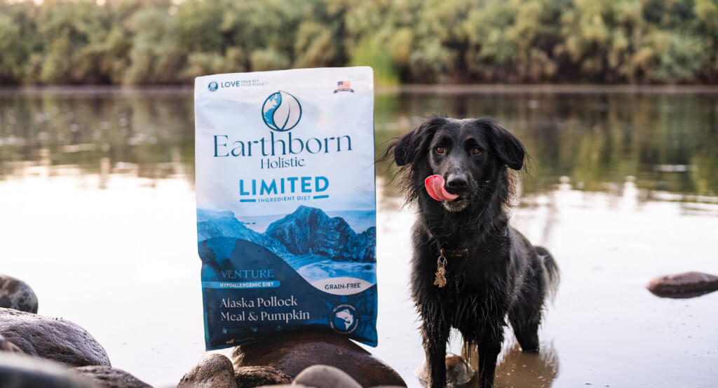 Dog stands in water licking lips next to a bag of dog food