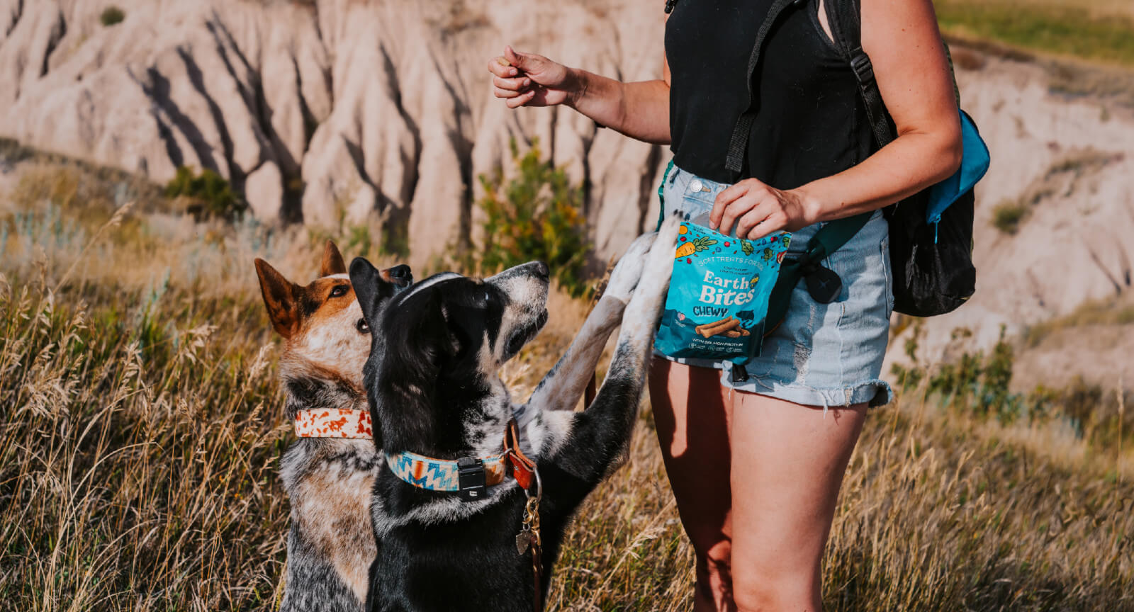 Diets for Dogs with Allergies and Sensitivities Earthborn Holistic