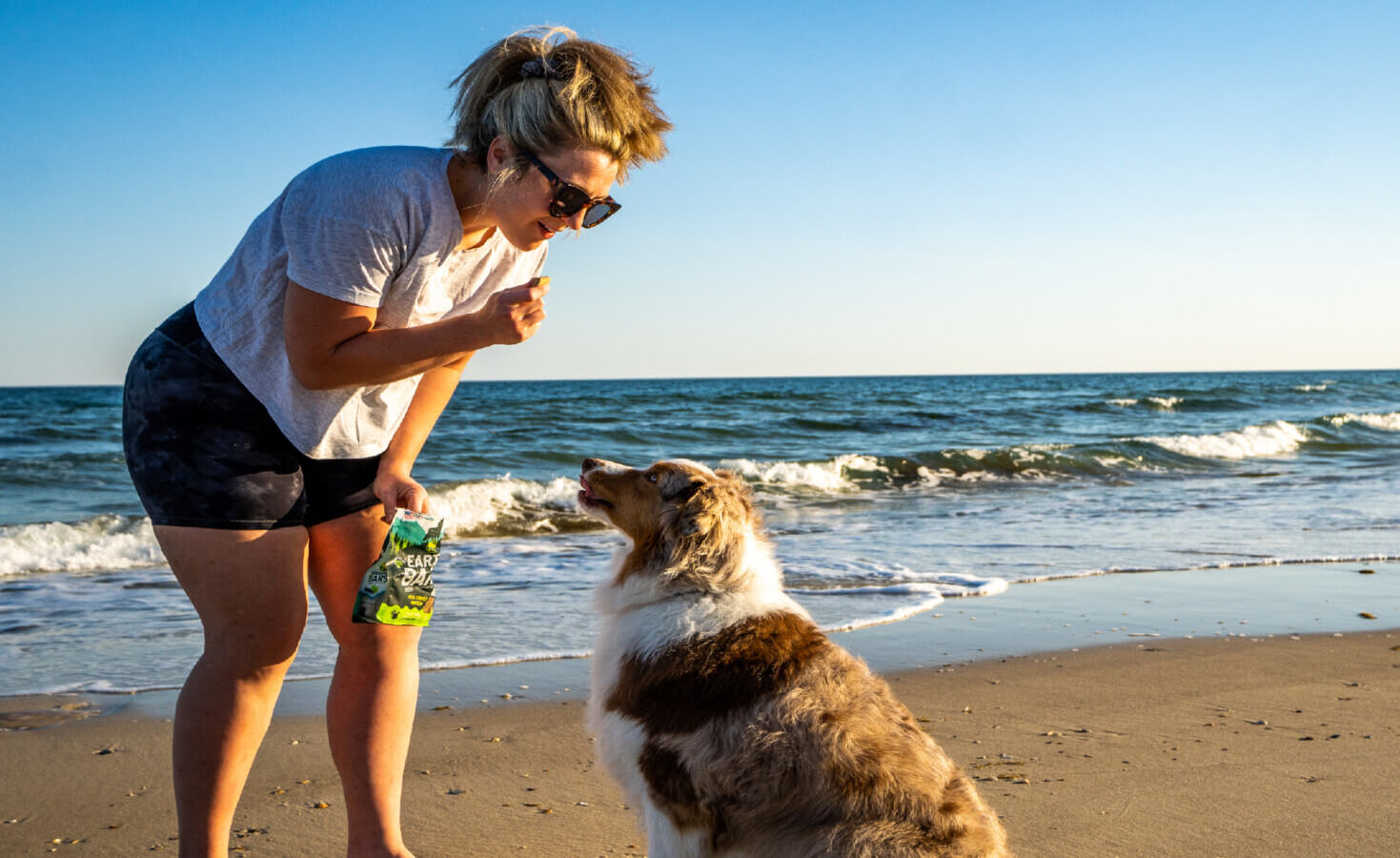Person stands on beach holding treat while dog sits in front of them