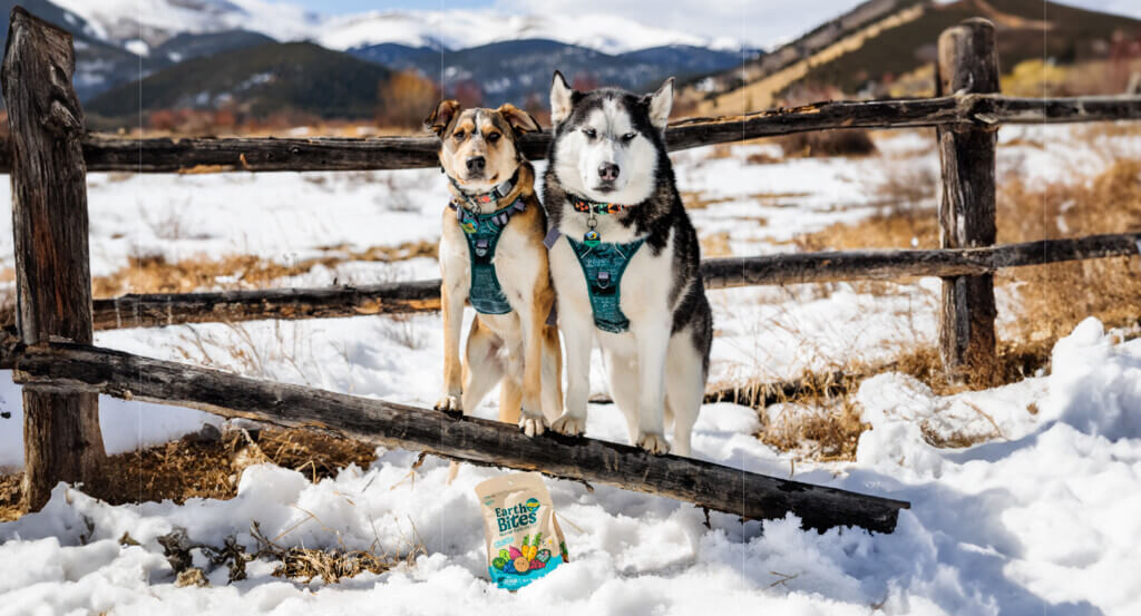 Two dogs stand on post in snow next to a bag of EarthBites Crunchy