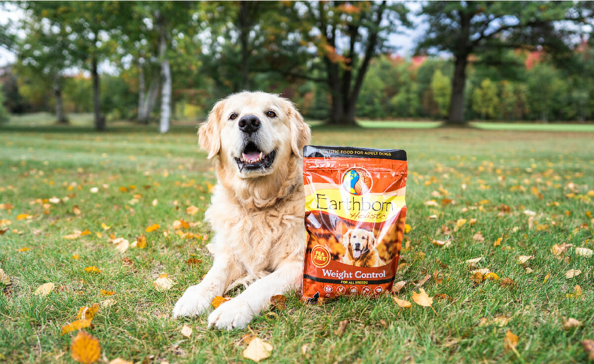 A dog lays in the grass next to a bag of Earthborn Holistic Weight Control dog food