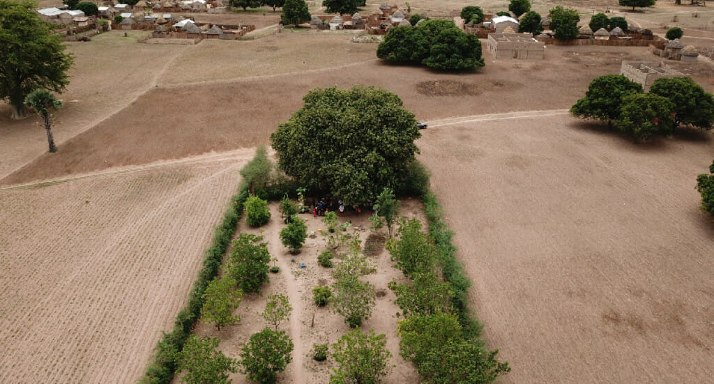 An aerial photo of a forest garden