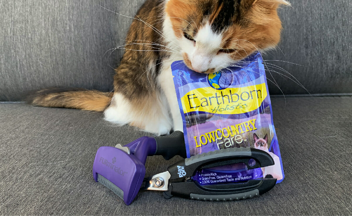 A cat stands behind a FURminator and nail clippers, chewing on an Earthborn Holistic wet cat food pouch