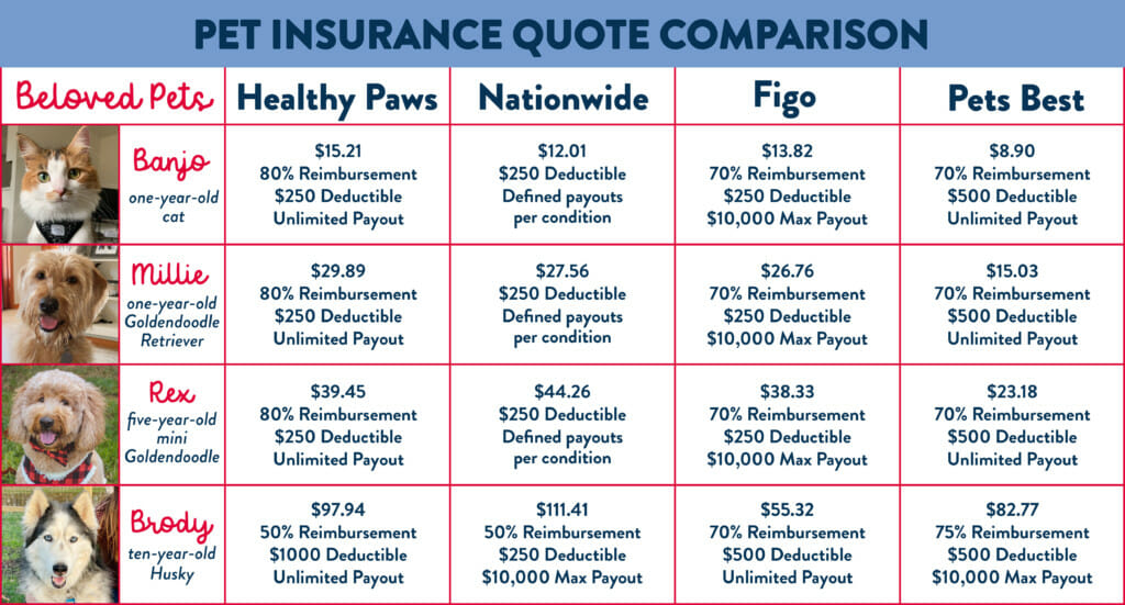 A chart comparing four different pet insurance companies and their monthly premiums for four of our office pets