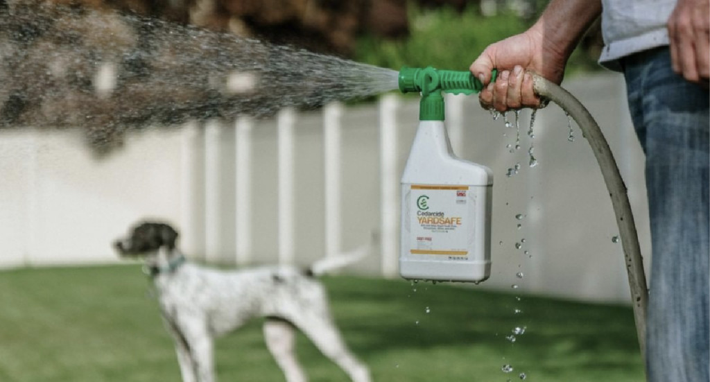 A human stands in their yard spraying Cedarcide Yardsafe with their dog in the background