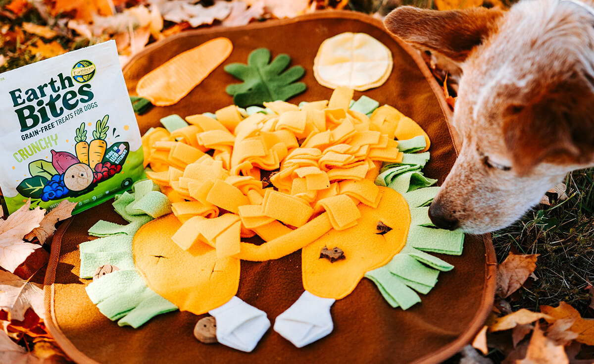 dog finding treats in a turkey shaped snuffle mat full of EarthBites treats