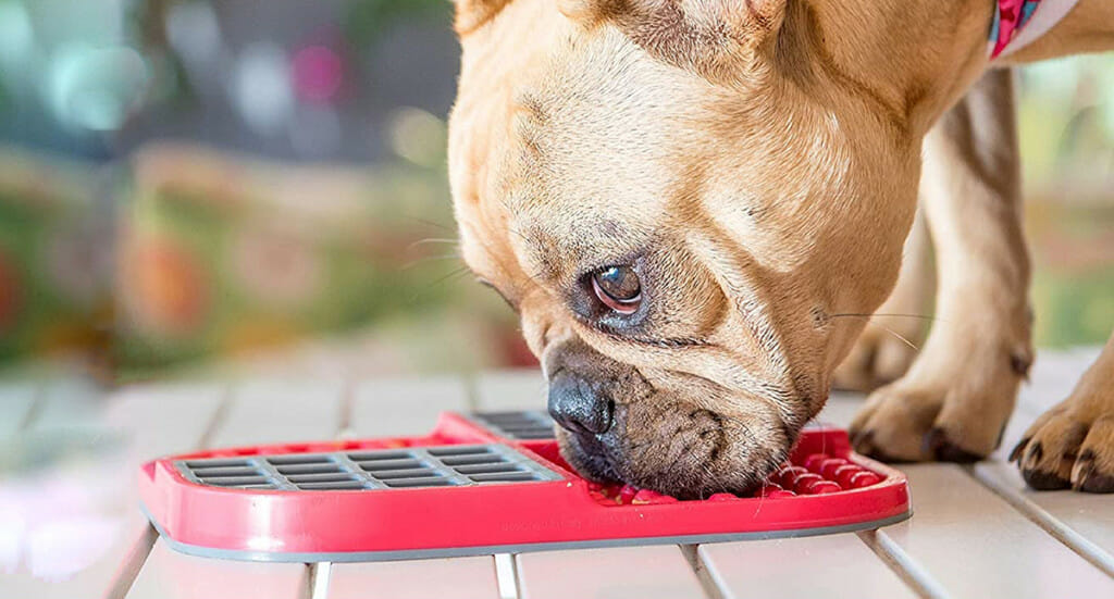 A dog licks food off of a Licki mat