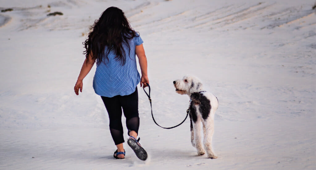 A woman walks with her dog across a white sand duneog