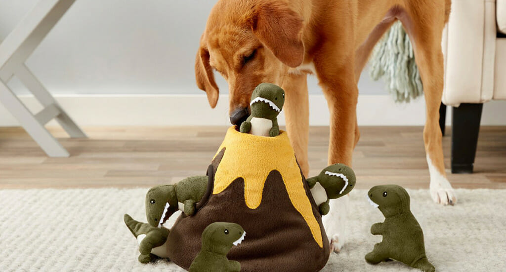 A dog pulls mini toys out of a Frisco volcano dog toy