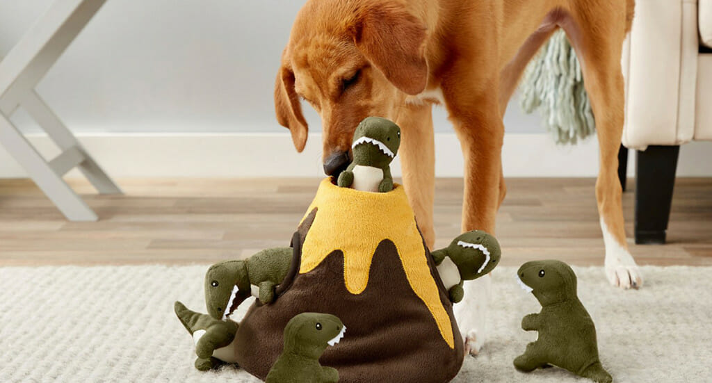 https://www.earthbornholisticpetfood.com/wp-content/uploads/2021/05/volcano-hide-and-seek-toy-1024x551.jpg