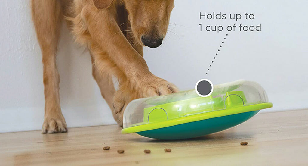 A dog plays with a wobble bowl to get kibbles out