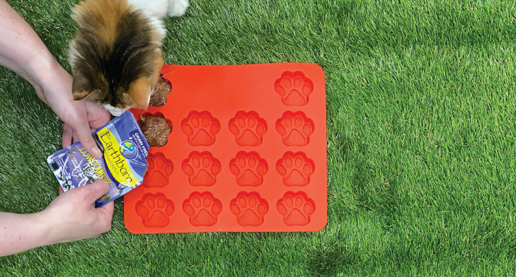 An overhead shot of hands squeezing Earthborn Holistic cat food into a paw print tray while a cat sniffs at it