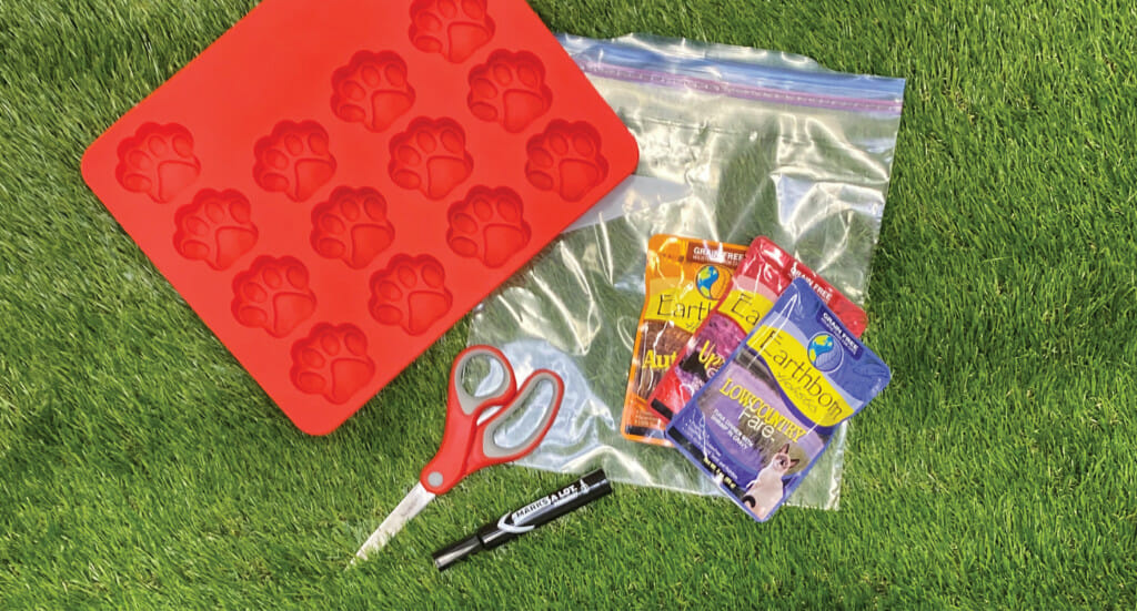 An overhead shot of a silicone tray, ziplock bag, permanent marker, scissors, and Earthborn Holistic cat food