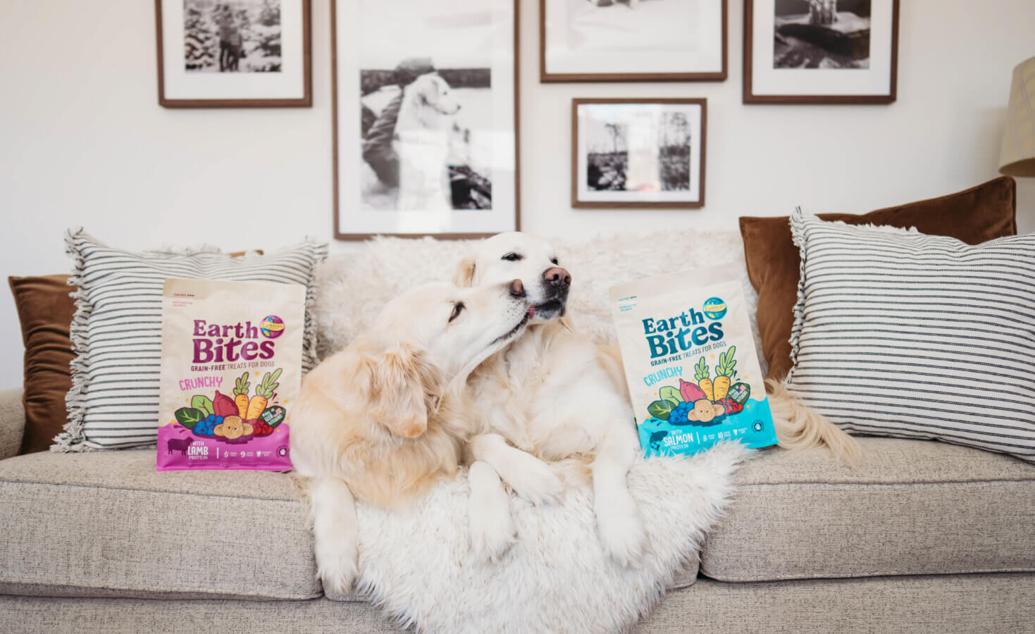 Two dogs cuddle on a couch with two bags of EarthBites Crunchy