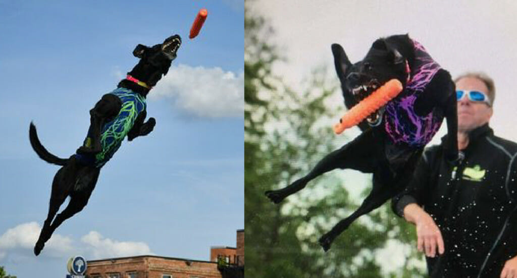 Two images of Storie jumping to catch a bumper. In one, JD McKnight can be seen in the background