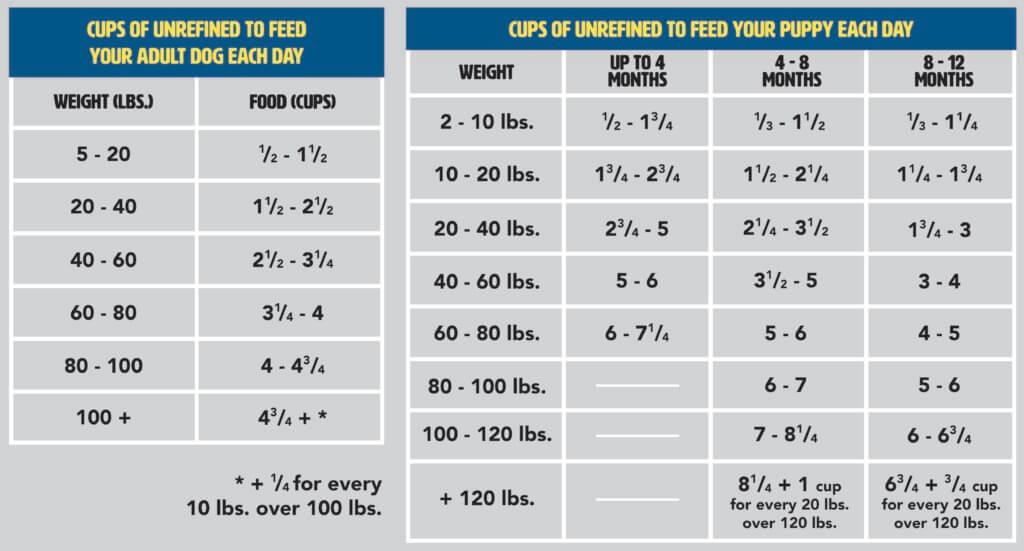 An example of a dog food feeding chart