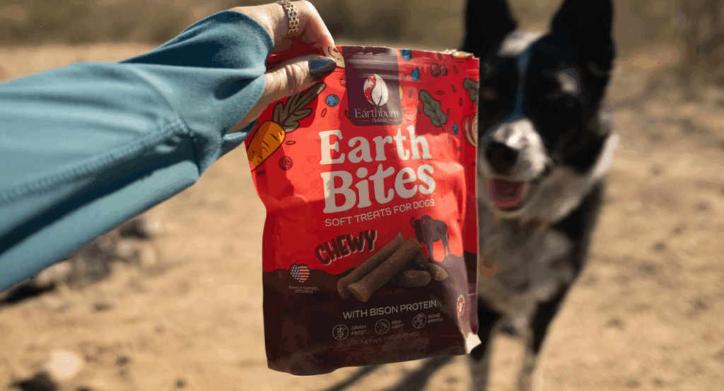 Person holds bag of treats as dog stares at them