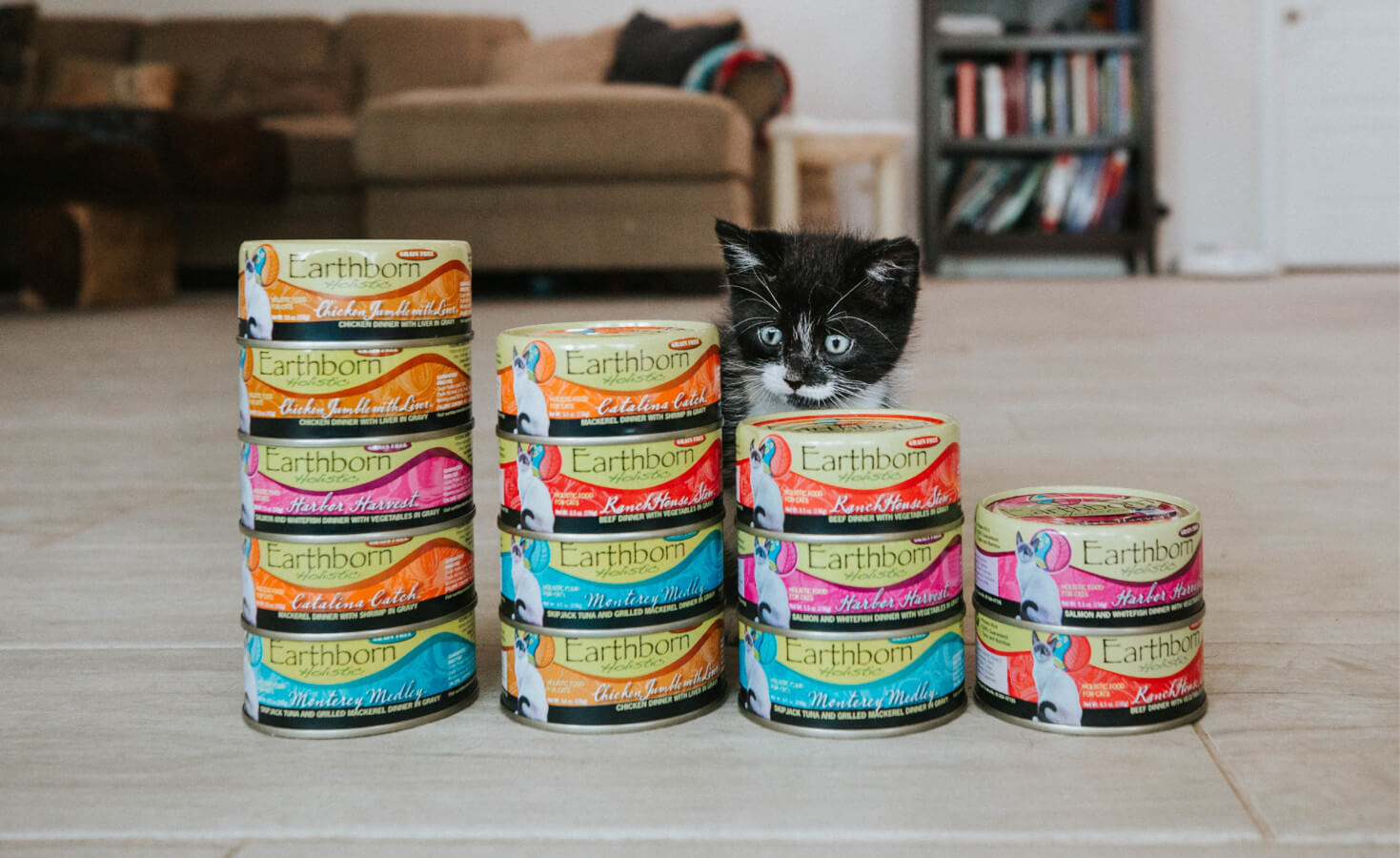 A kitten peeks out from behind several stacks of Earthborn Holistic wet kitten food