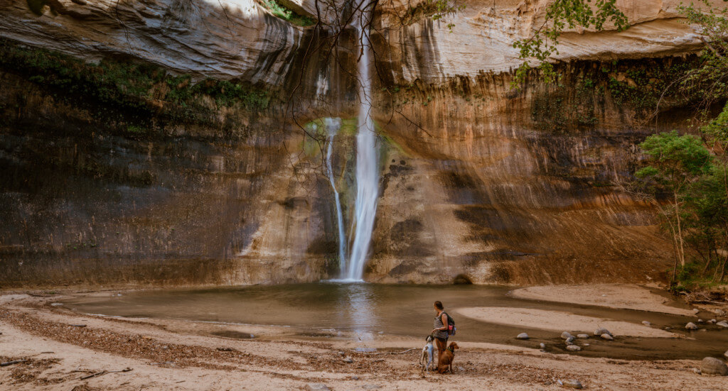 A human and their dog stand at the bottom of Lower Calf Creek Falls, Utah