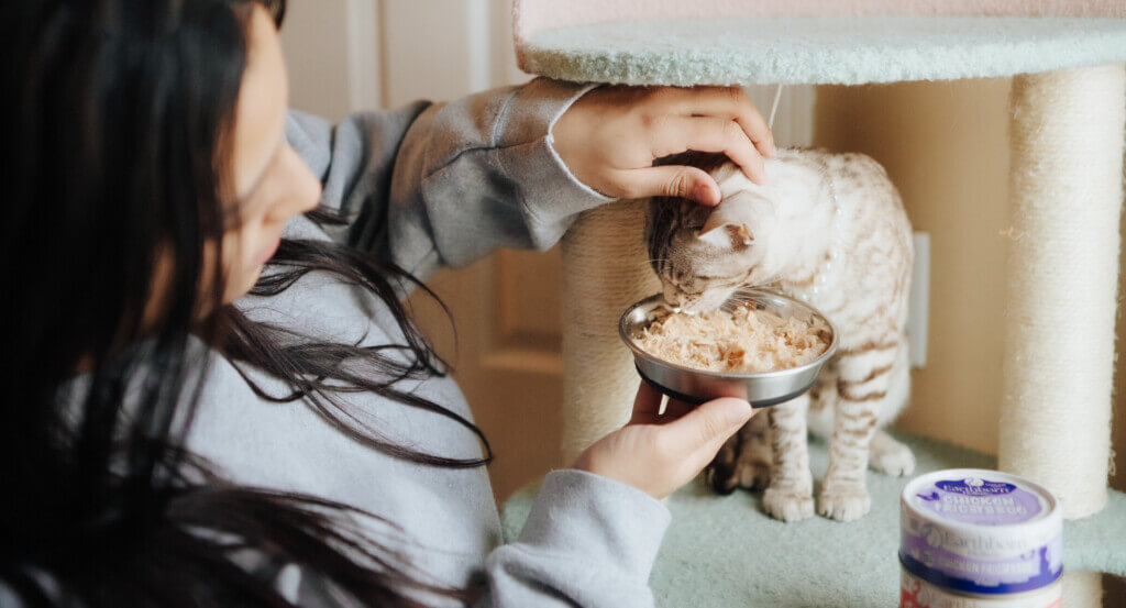 person pets cat as they eat out of bowl