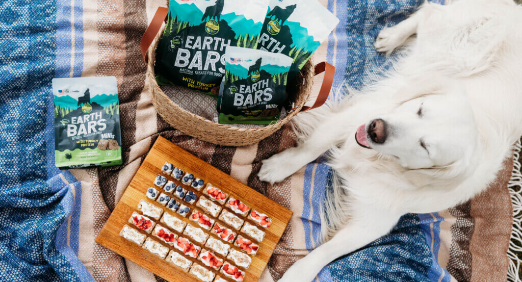 Dog lays next to basket full of EarthBars and American flag made out of treats