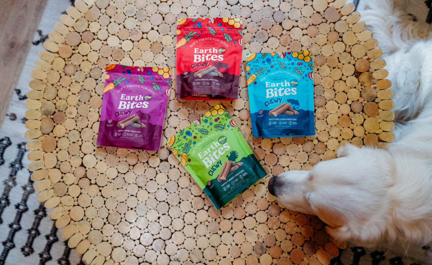 dog sniffs four bags of treats on table