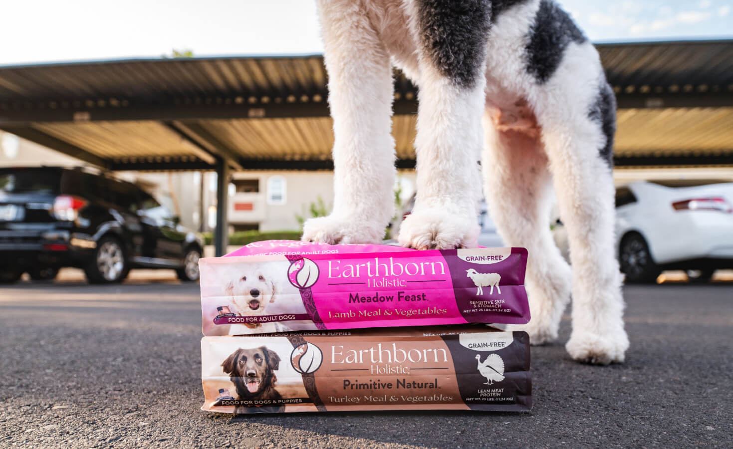 Dog stands on two bags of dog food