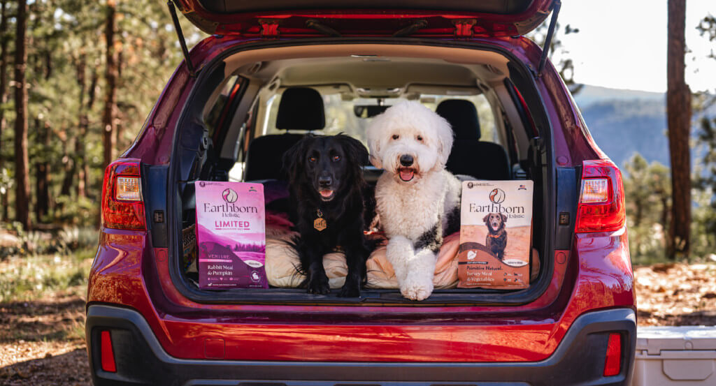 Two dogs sit with bags of dog food on both sides of them