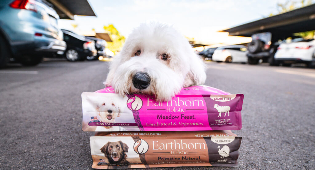 Dog lays head on two bags of dog food