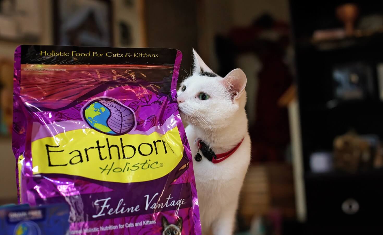 A cat sniffs a bag of Earthborn Holistic Feline Vantage cat food