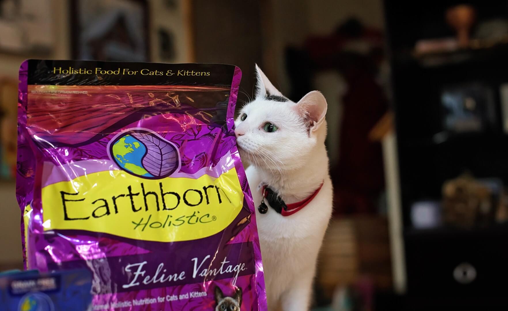 The Best Cat Nutrition for Your Feline Friend Earthborn Holistic Pet Food