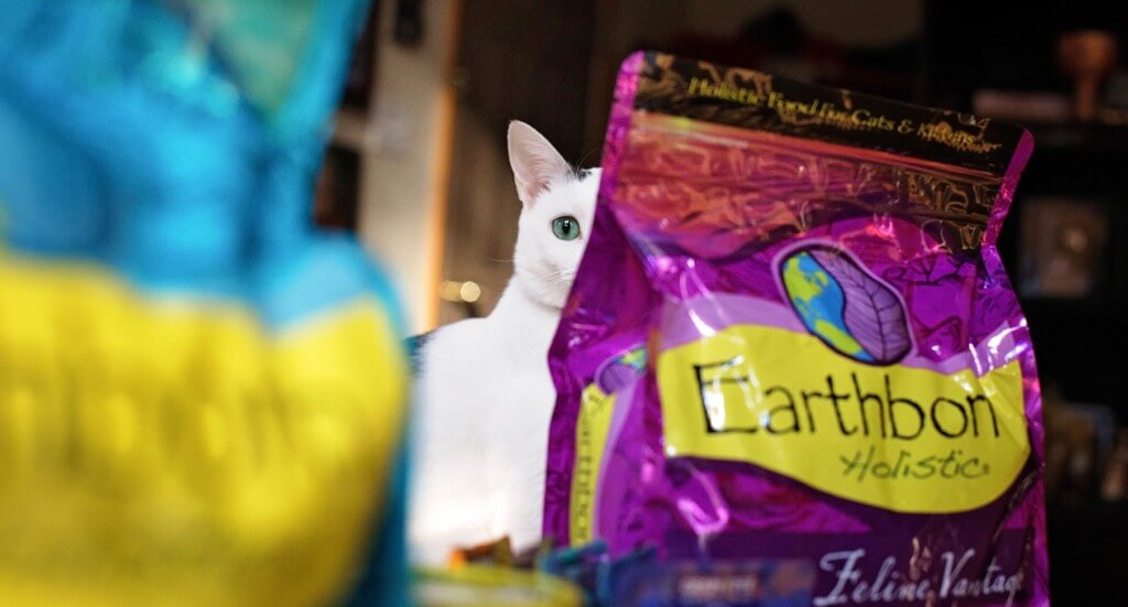 A cat peeks between two bags of cat food