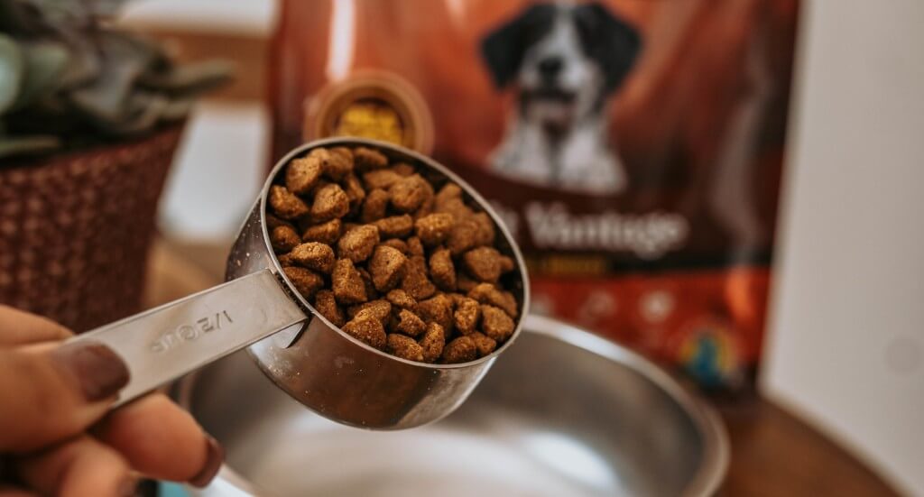 A closeup of a person scooping kibble into a dog bowl