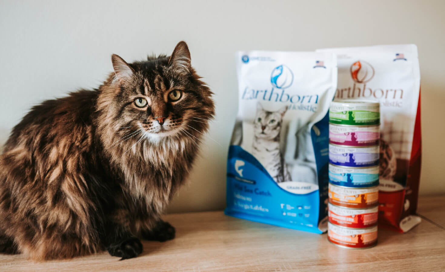 Cat sits next to bags of cat food and cat cans