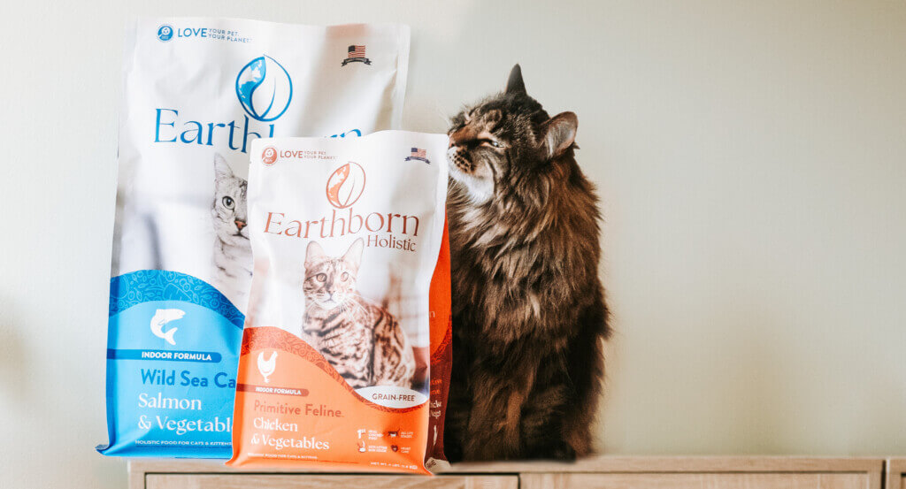 cat sniffs 2 bags of cat food